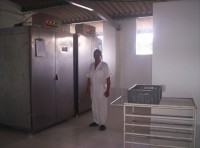 /album/granjas-integrales-productivas/incubadoras-para-10000-huevos-jpg/